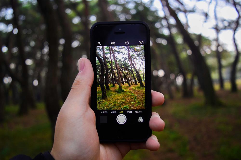 вещи выживание лес список снаряжение выживальщик набор необходимые поход природа заблудился потерялся одежда еда питание есть аптечка костер посуда нож звери убежище ночевка спасатели